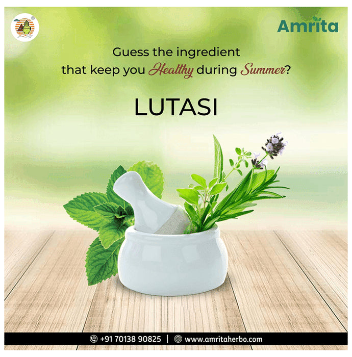 Amrita Tulasi Tablet