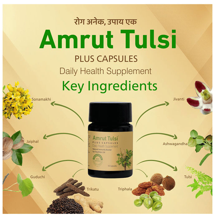 Amrut Tulsi Plus Capsule (10 Each)