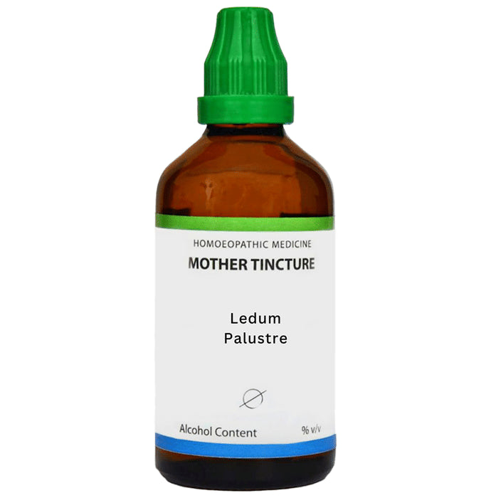 LDD Bioscience Ledum Palustre Mother Tincture Q - Classic Derma