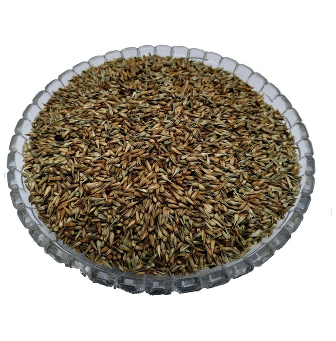 Azamdeal Apamarg Beej