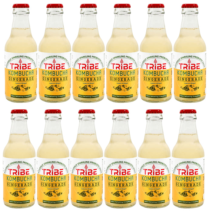 Tribe Kombucha Naturally Sparkling Probiotic Drink Gingerade (210ml Each) Lemon and Ginger - Classic Derma