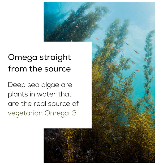 TrueBasics 100% Vegetarian Omega 3 Soft Capsule