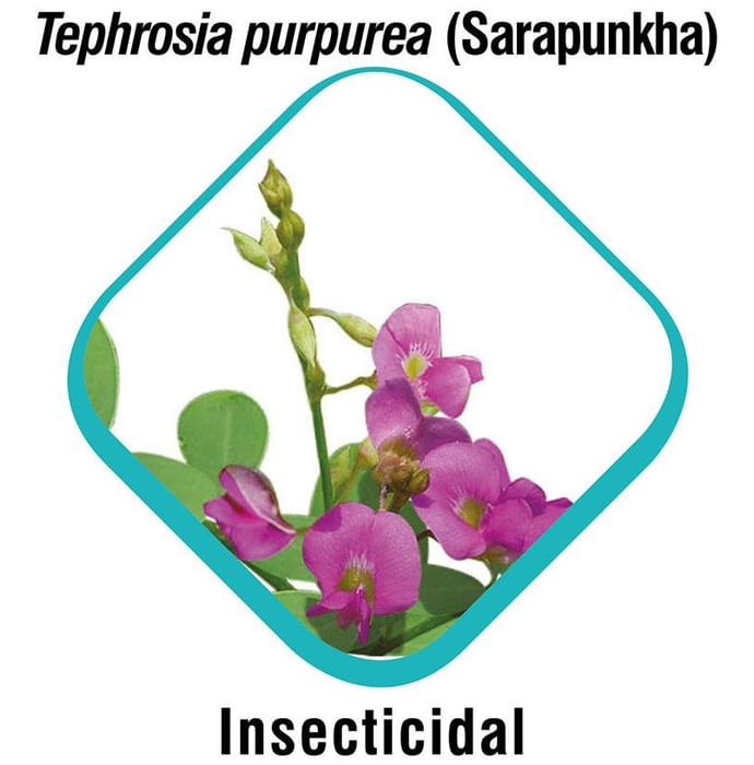 Himalaya Erina-EP Tick and Flea Control Shampoo (For Pets) Ecto Parasiticidal