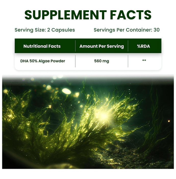 Himalayan Organics Vegan Omega 3-6-9 | Vegetarian Capsule for Eyes, Joints & Heart