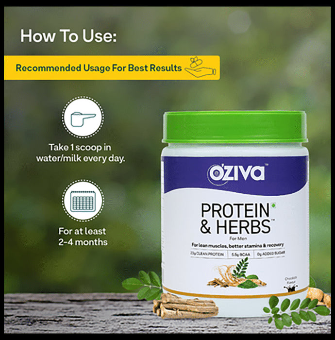 Oziva Protein & Herbs for Men | For Muscle Building, Stamina & Recovery | Chocolate