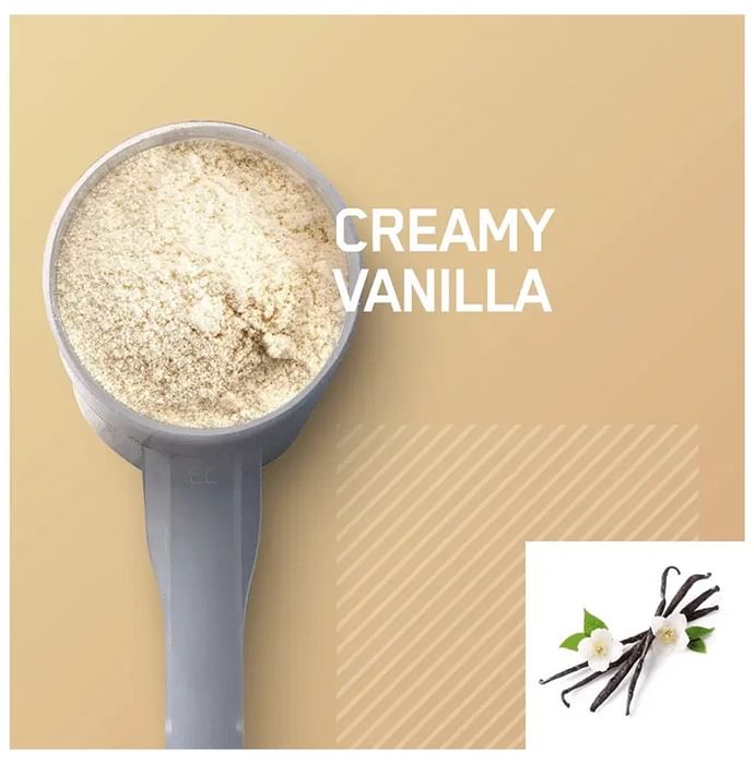 Optimum Nutrition Gold Standard 100% Plant Protein Powder French Vanilla Creme