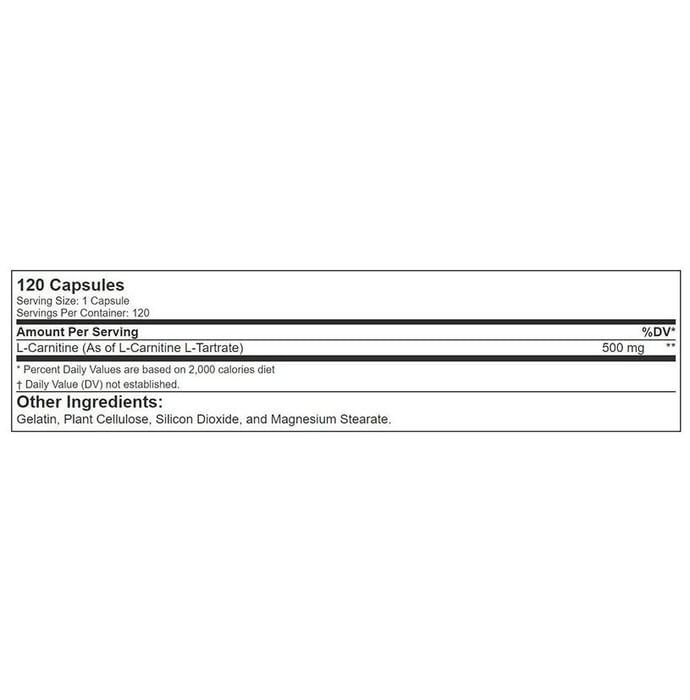 RSP Nutrition L-Carnitine Capsule