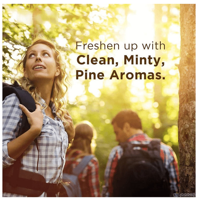 Aravi Organic Nilgiri Eucalyptus Essential Oil