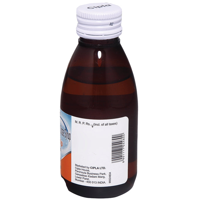 Alkacip Syrup 100ml for Kidney & Gout Stone