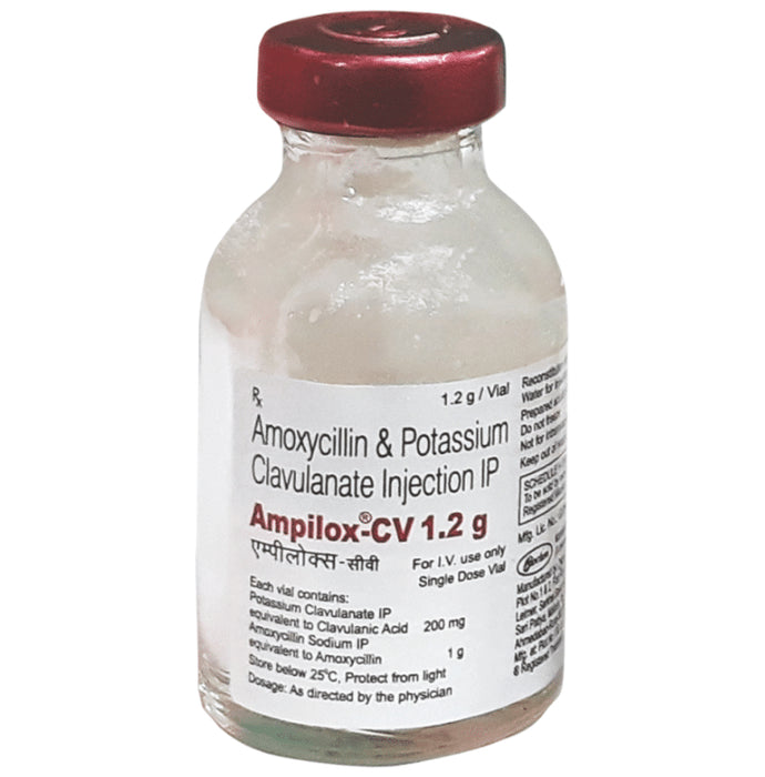 Ampilox CV 1000 mg/200 mg Injection