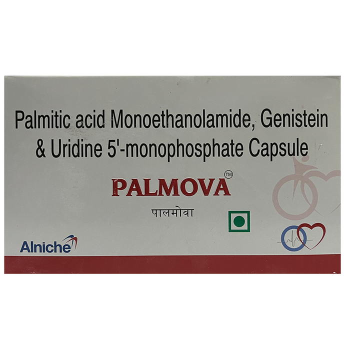 Palmova Capsule