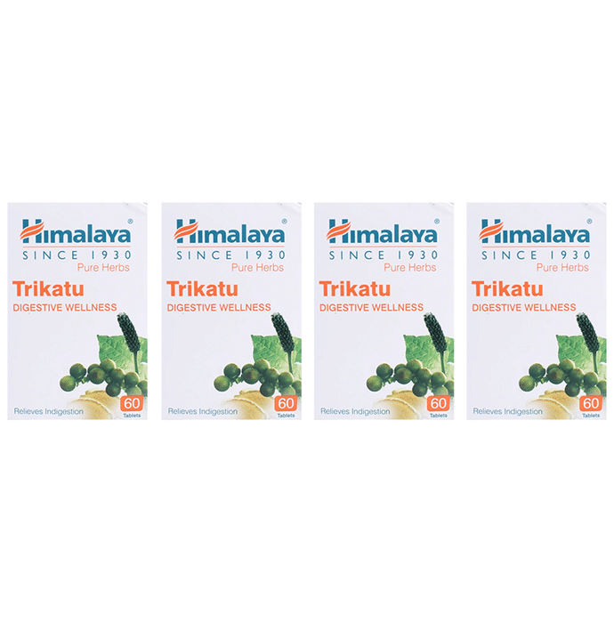 Himalaya Wellness rikatu Digestive Wellness Tablet (60 Each)