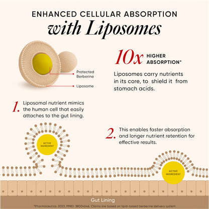 Liposomal Berberine HCL+