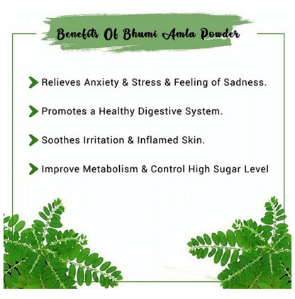 1ratti Bhumi Amla Churna