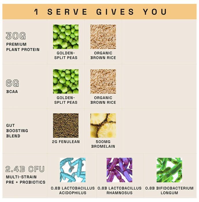 Ace Blend Intense 30g Vegan Plant Protein Powder with BCAA Kulfi