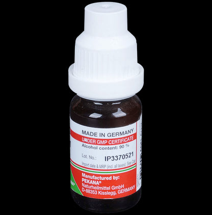 ADEL Arnica Dilution 1M