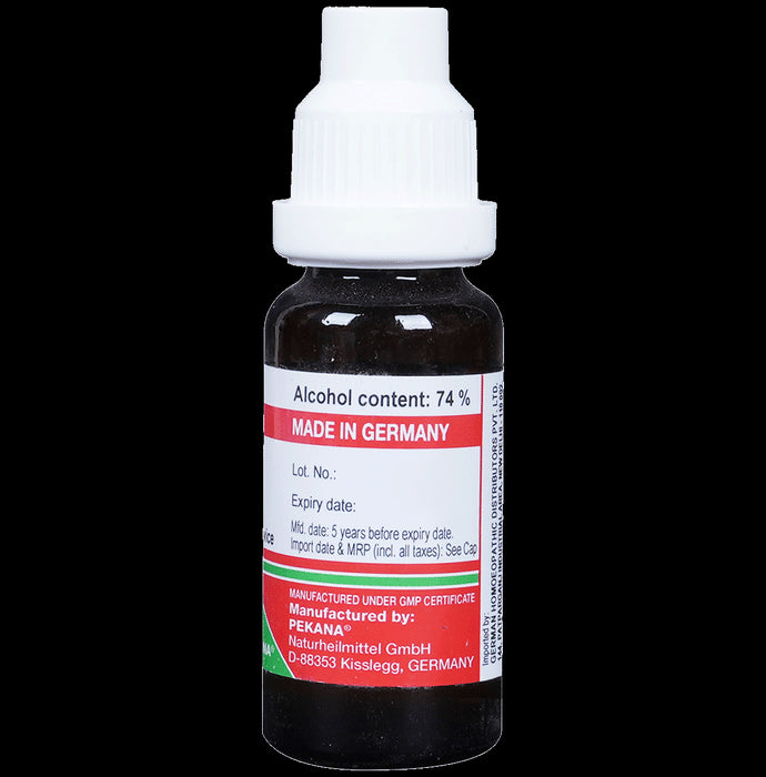 ADEL Ashwagandha Mother Tincture Q