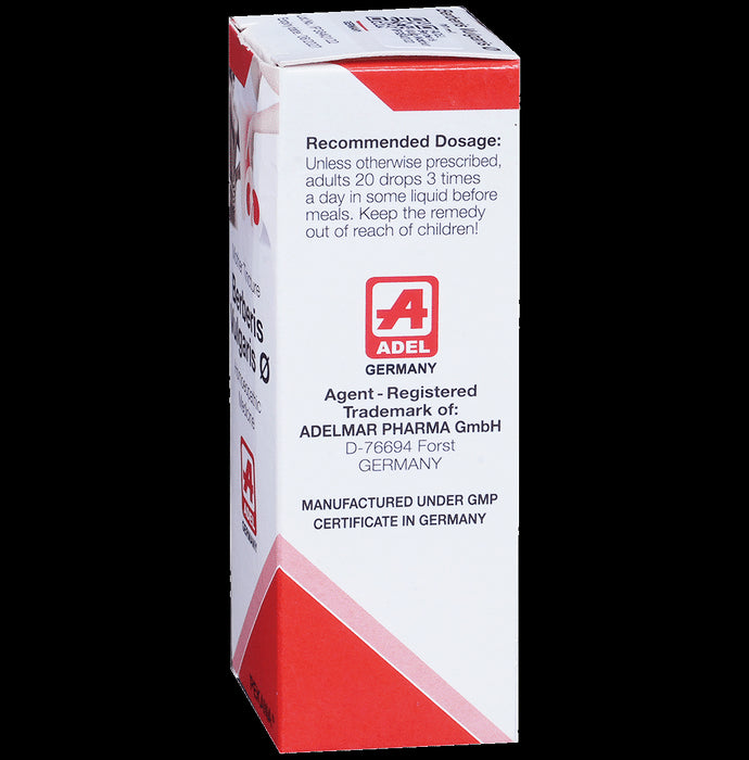 ADEL Berberis Vulg Mother Tincture Q