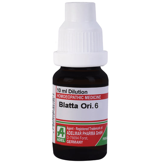 ADEL Blatta Ori. Dilution 6 - Classic Derma