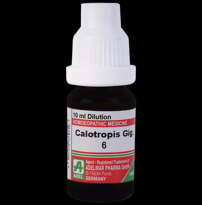 ADEL Calotropis Gig. Dilution 6 - Classic Derma