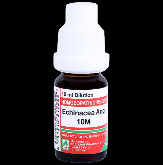 ADEL Echinacea Ang. Dilution 10M - Classic Derma