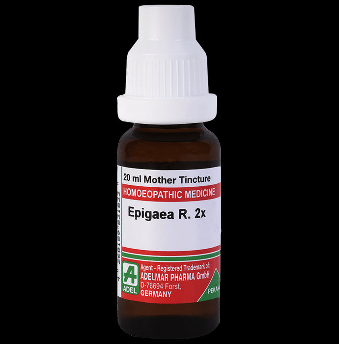 ADEL Epigaea R. Mother Tincture 2X - Classic Derma
