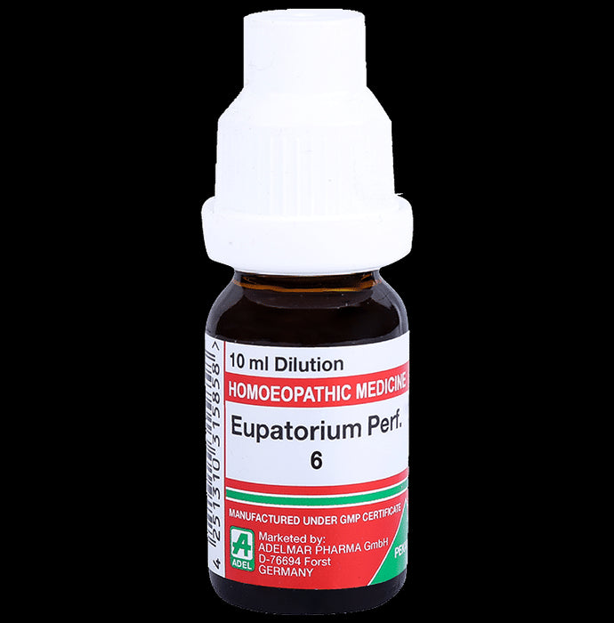 ADEL Eupatorium Perf. Dilution 6 - Classic Derma
