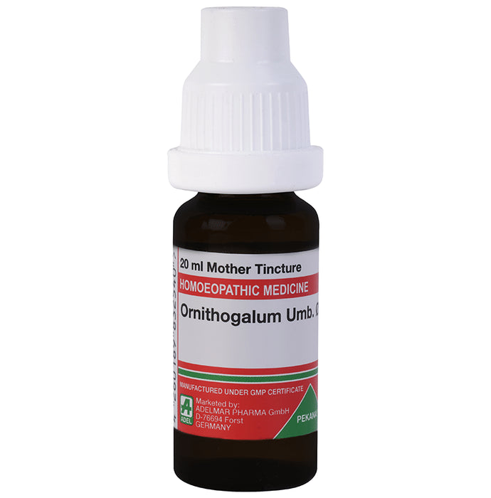ADEL Ornithogalum Umb. Mother Tincture Q - Classic Derma