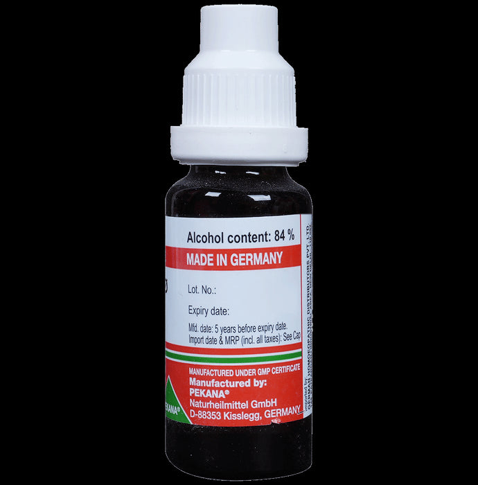 ADEL Syzygium Jambolanum Mother Tincture Q