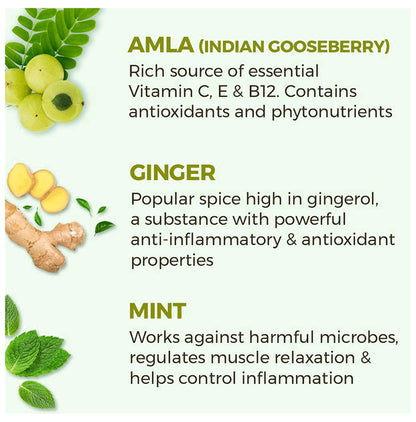 Akiva Amla Honey Ginger Drink (40ml Each)