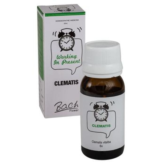 Alfa Omega Bach Flower Clematis 6X - Classic Derma