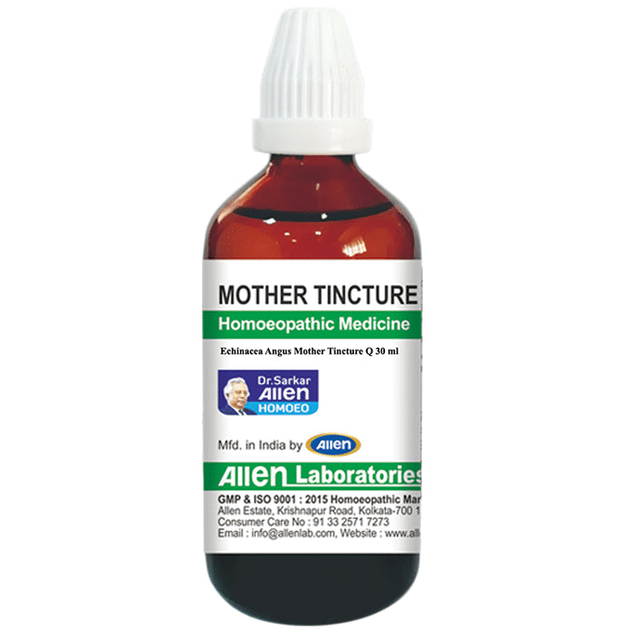 Allen Laboratories Echinacea Angus Mother Tincture Q - Classic Derma