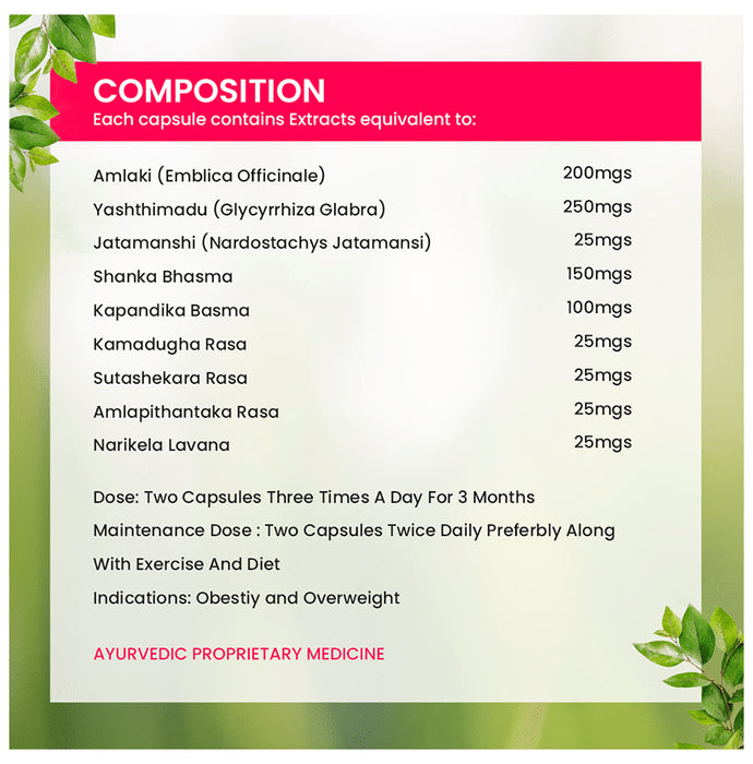 Alopa Alopacid Capsule for Hyperacidity and Gastritis (10 Each)