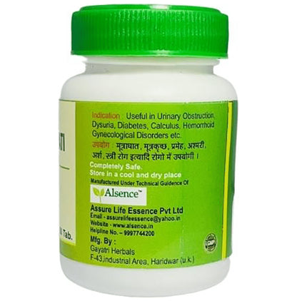 Alsence Chandraprabha Vati Tablet (60 Each)