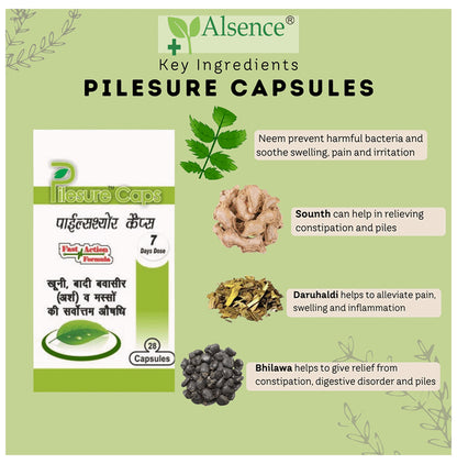 Alsence Pilesure Caps Capsule (28 Each)