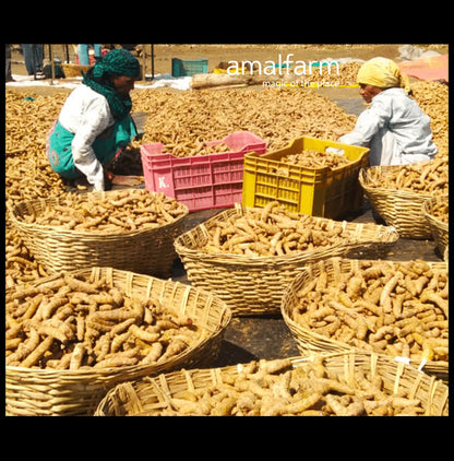 Amalfarm Waigaon Halad Turmeric Powder
