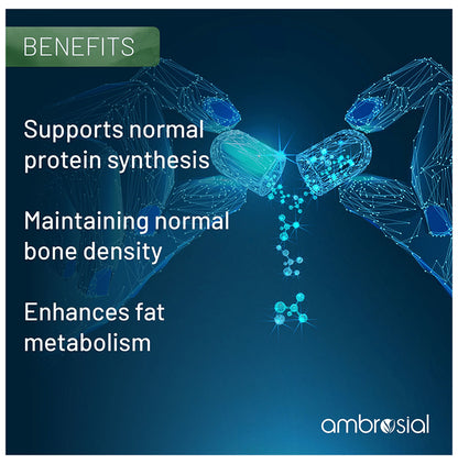 Ambrosial Veg Essentials Zinc Veg Capsule
