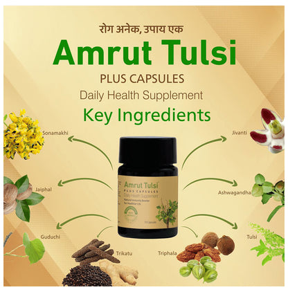 Amrut Tulsi Plus Capsule