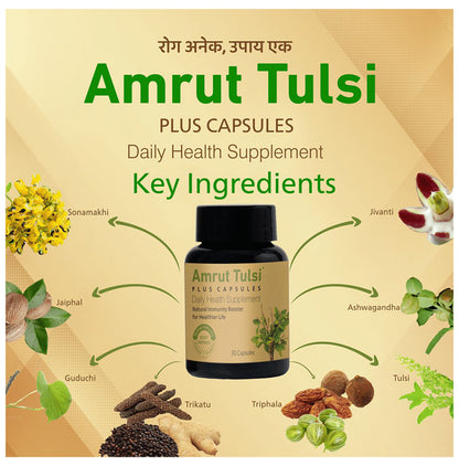 Amrut Tulsi Plus Capsule (30 Each)
