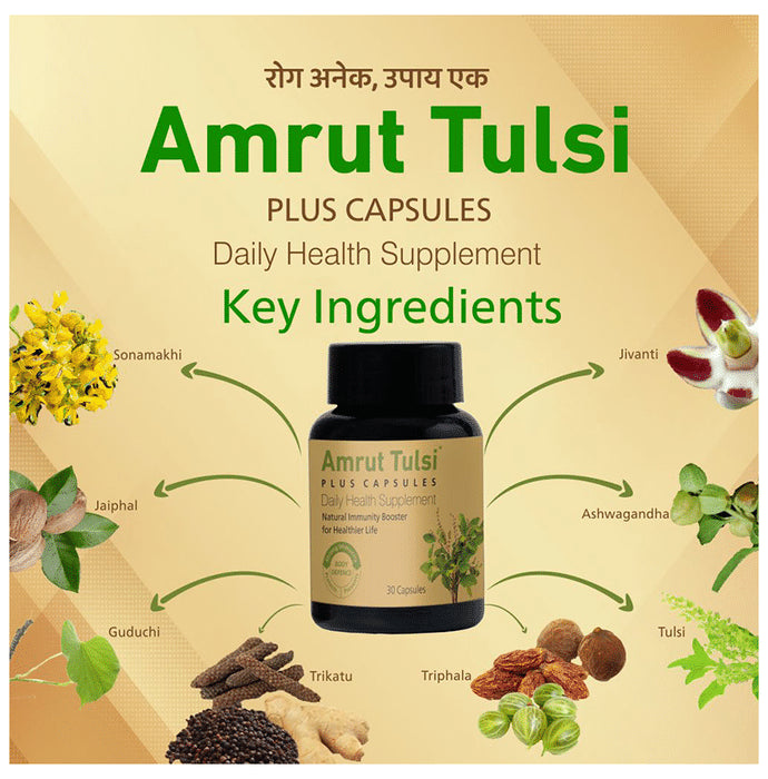 Amrut Tulsi Plus Capsule (30 Each)