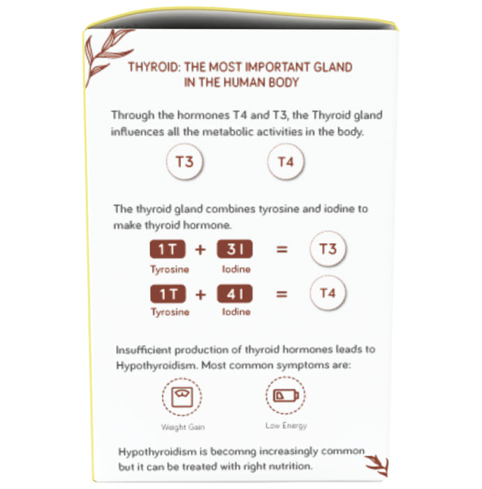 Andme Thyrodiet Tea Bag (2.5gm Each) Chamomile Ginger