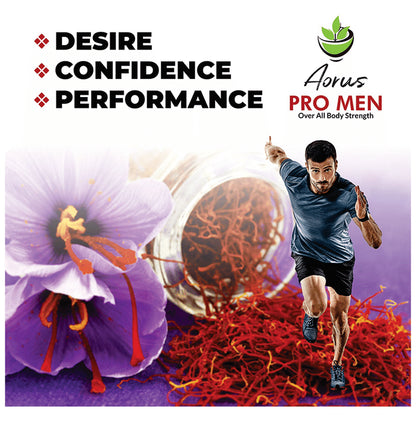 Aorus Promen Capsule