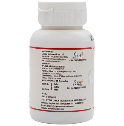 Aplomb Garcinia with Green Tea Capsule