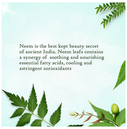 Aravalli Neem Face Scrub