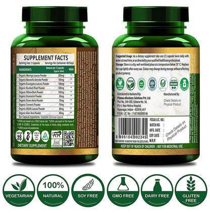 Ayurveda Organics Plant-Based Joint Support with Turmeric Vegetarian Capsule