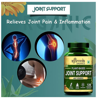 Ayurveda Organics Plant-Based Joint Support with Turmeric Vegetarian Capsule