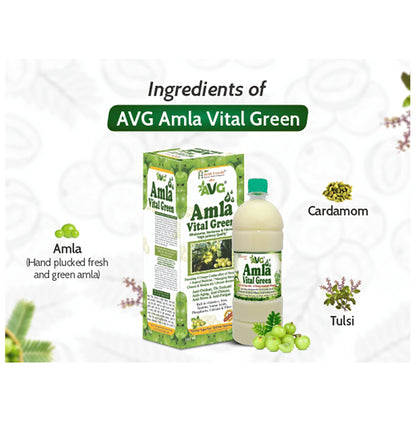 AVG Amla Vital Green with Vitamin C & Iron | Helps Build Immunity