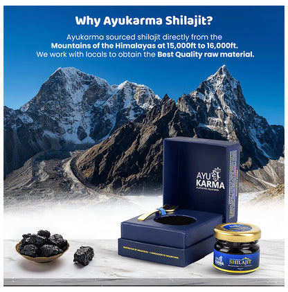 Ayukarma Pure Himalayan Shilajit 100% Pure Natural Extract From Himalayas Resin