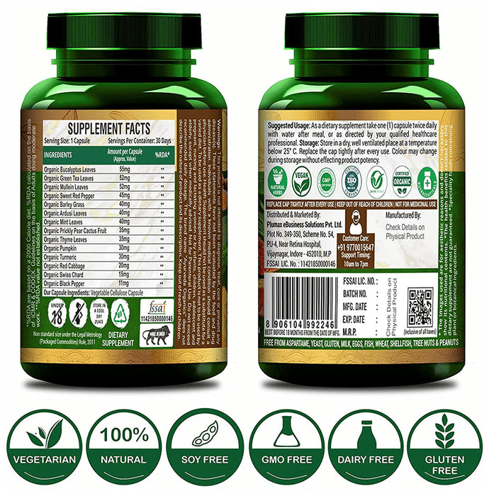 Ayurveda Organics Lungs Detox Vegetarian Capsule