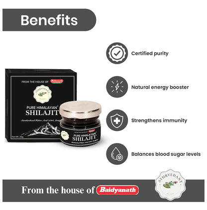 Ayurvedant Pure Himalayan Shilajit Resin